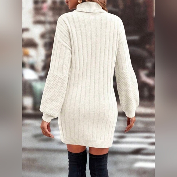 New Mixed Ribbed Knit Turtleneck Short Sweater Dress Long Sleeve Ivory Cream - Picture 3 of 9